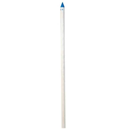 Campbell Mfg 1.5 in. x 4 ft. Plastic Point Well Blue 49535